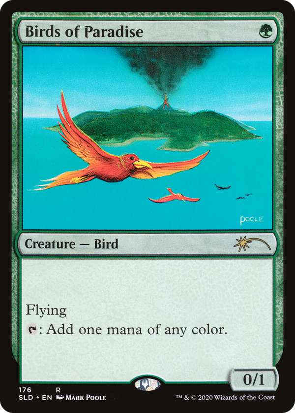 Birds of Paradise (sld)
