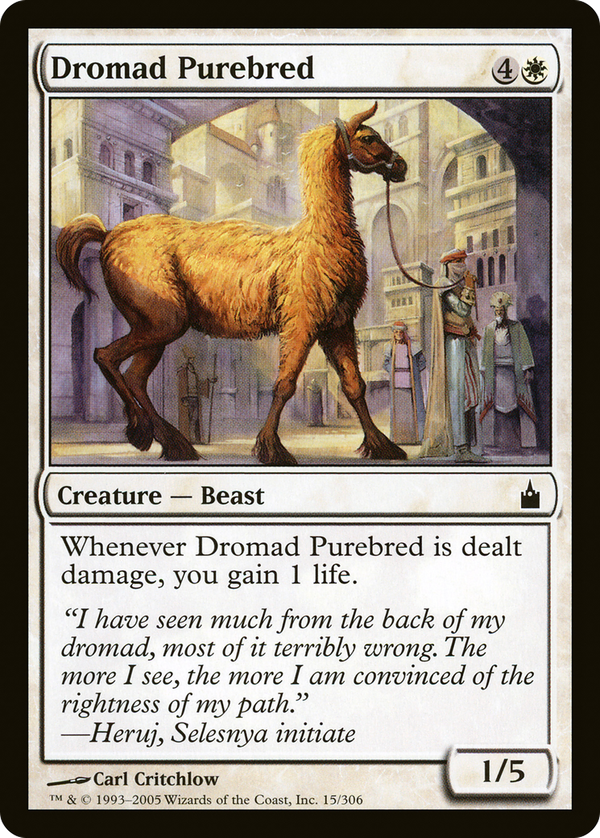 Dromad Purebred (rav)