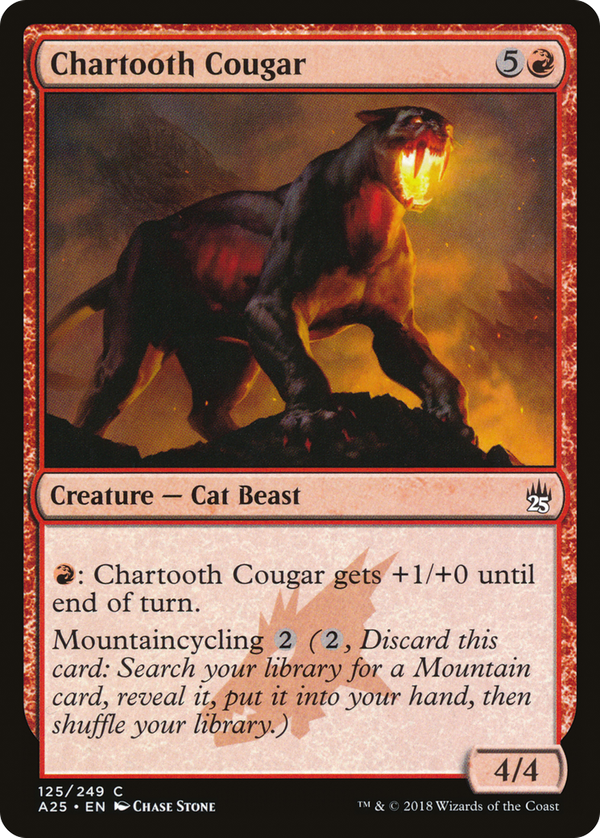 Chartooth Cougar (a25)