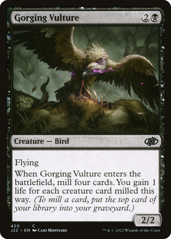 Gorging Vulture (j22)