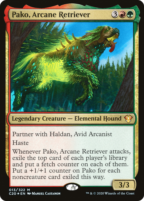 Pako, Arcane Retriever (c20)