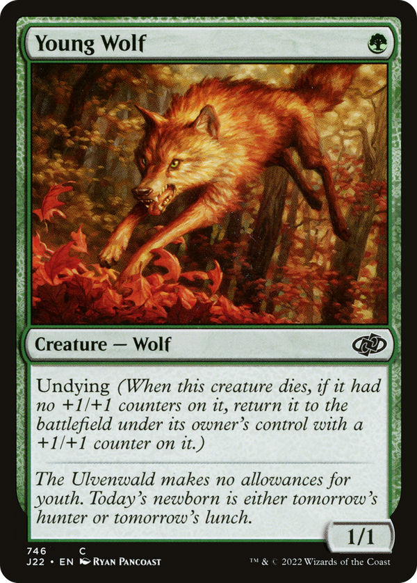 Young Wolf (j22)