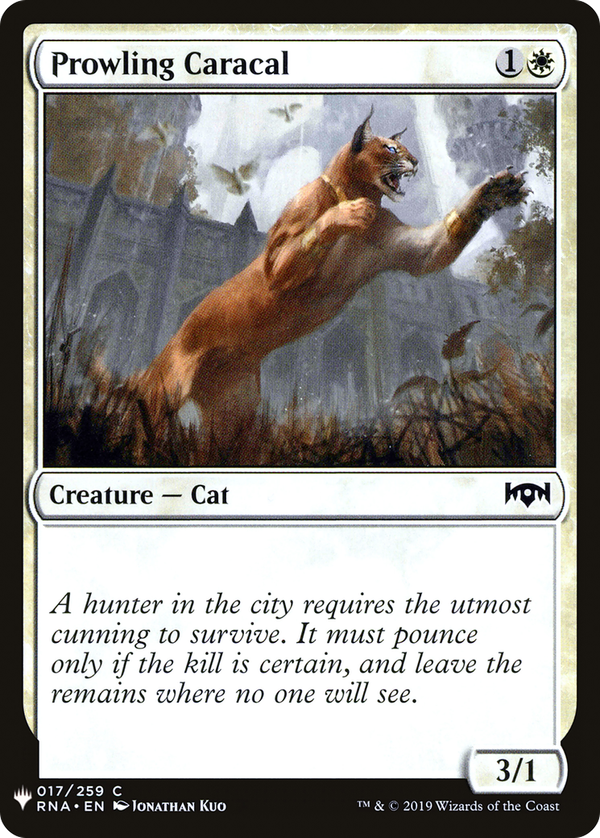 Prowling Caracal (plst)