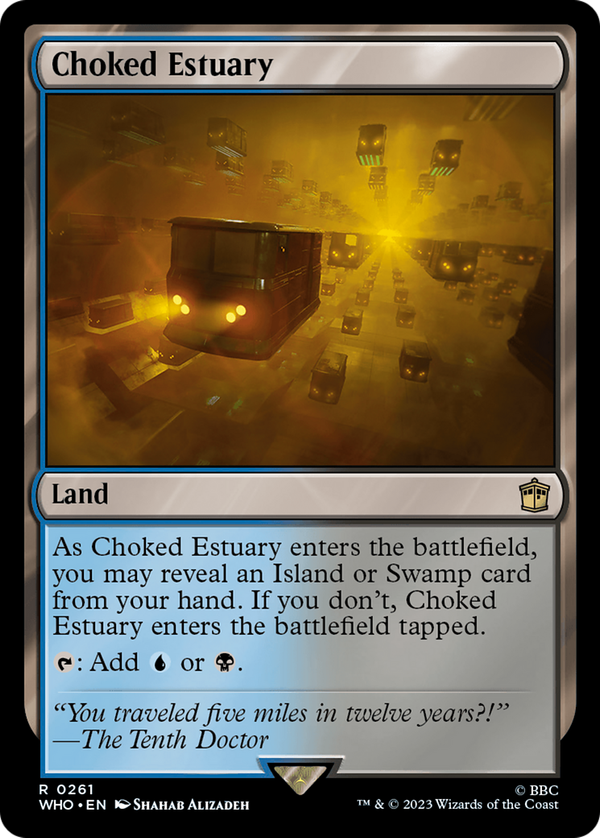 Choked Estuary (who)