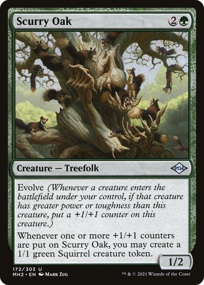 Scurry Oak