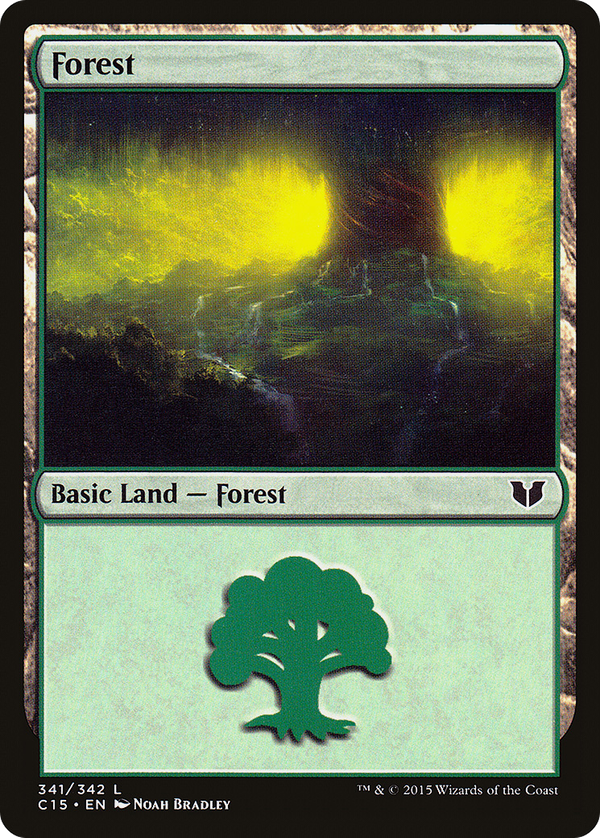 Forest (c15)