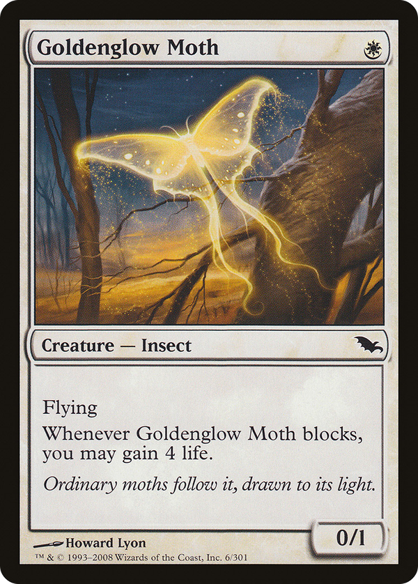 Goldenglow Moth (shm)