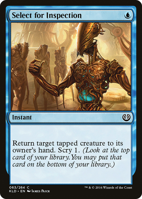 Select for Inspection (kld)