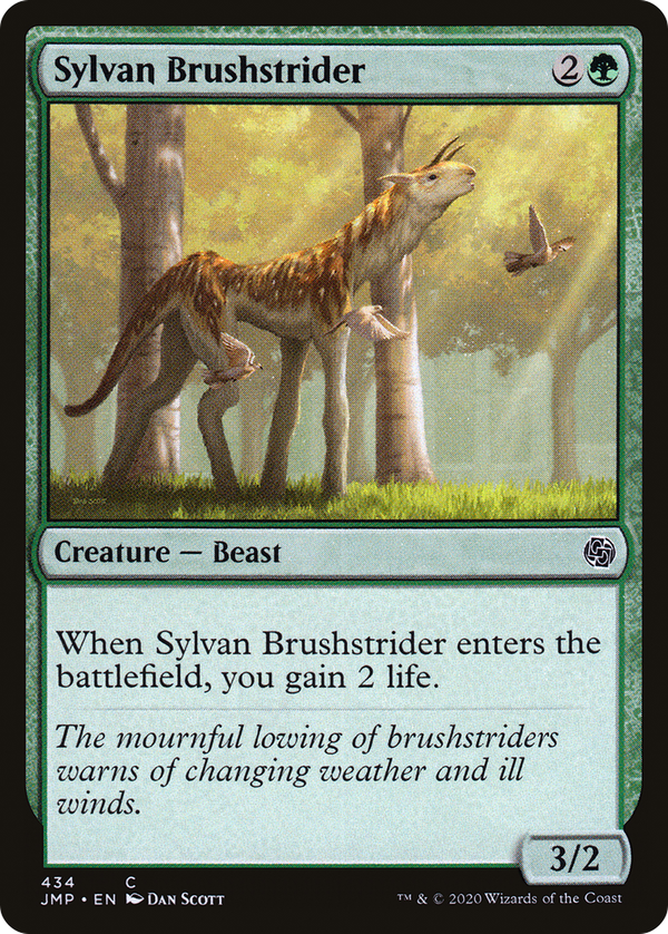 Sylvan Brushstrider (jmp)