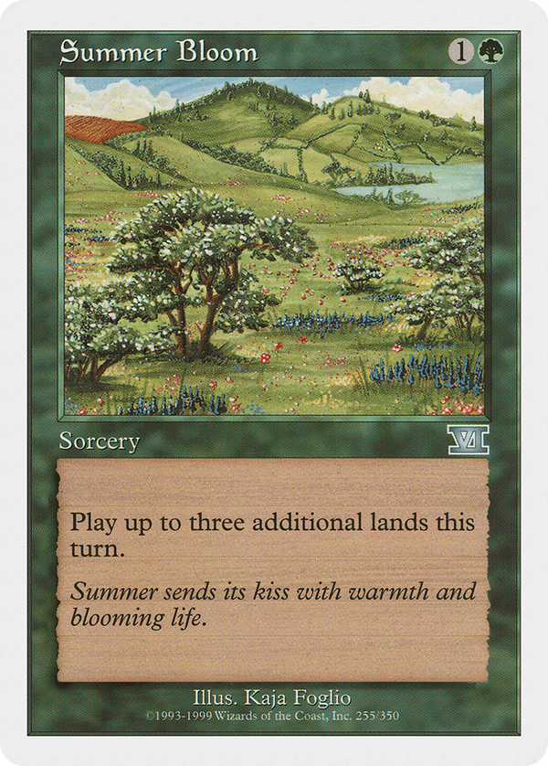 Summer Bloom (6ed)