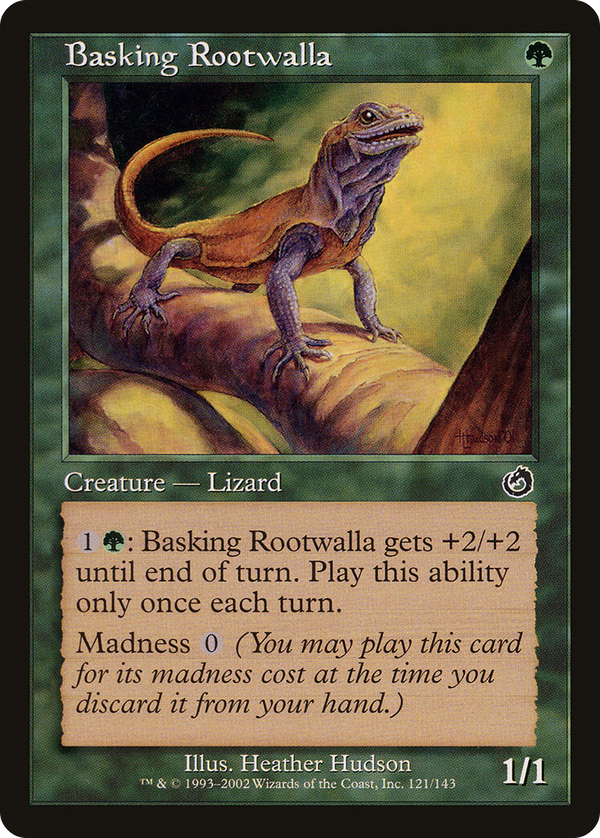 Basking Rootwalla (tor)