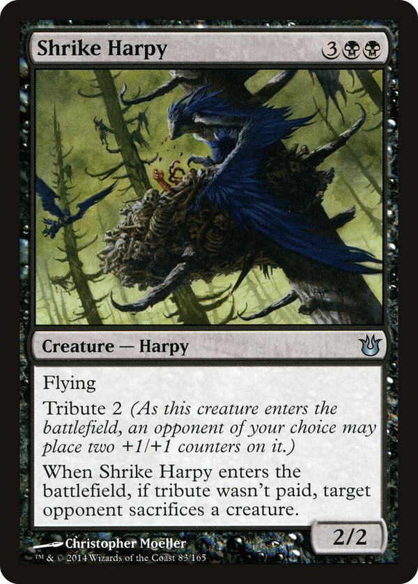 Shrike Harpy (bng)