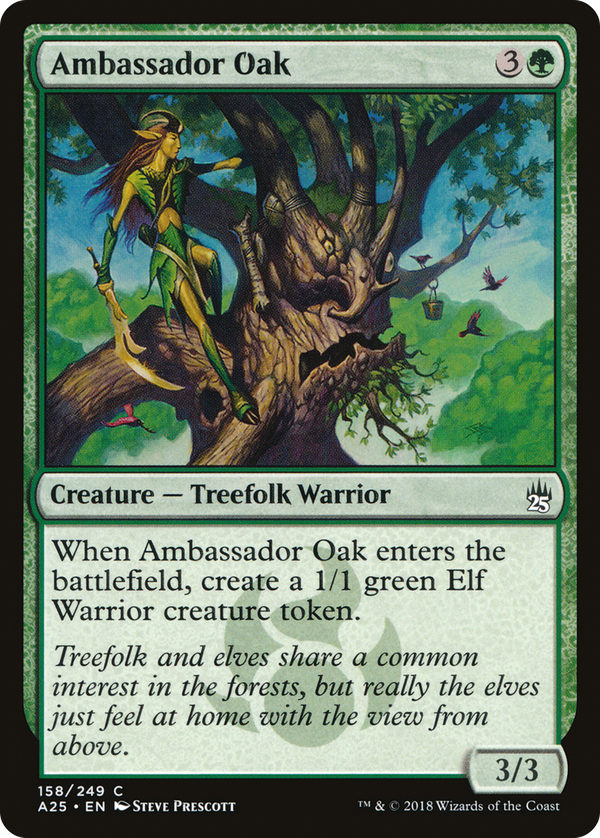 Ambassador Oak (a25)