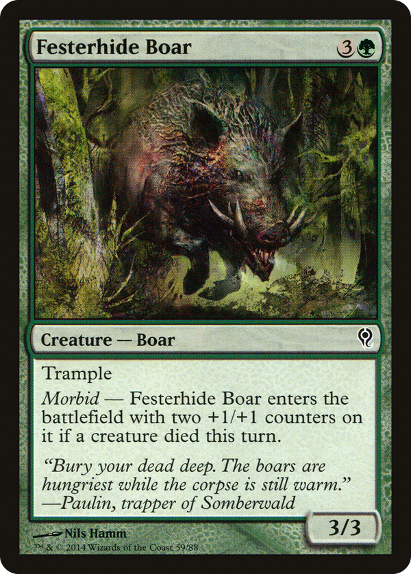 Festerhide Boar (ddm)
