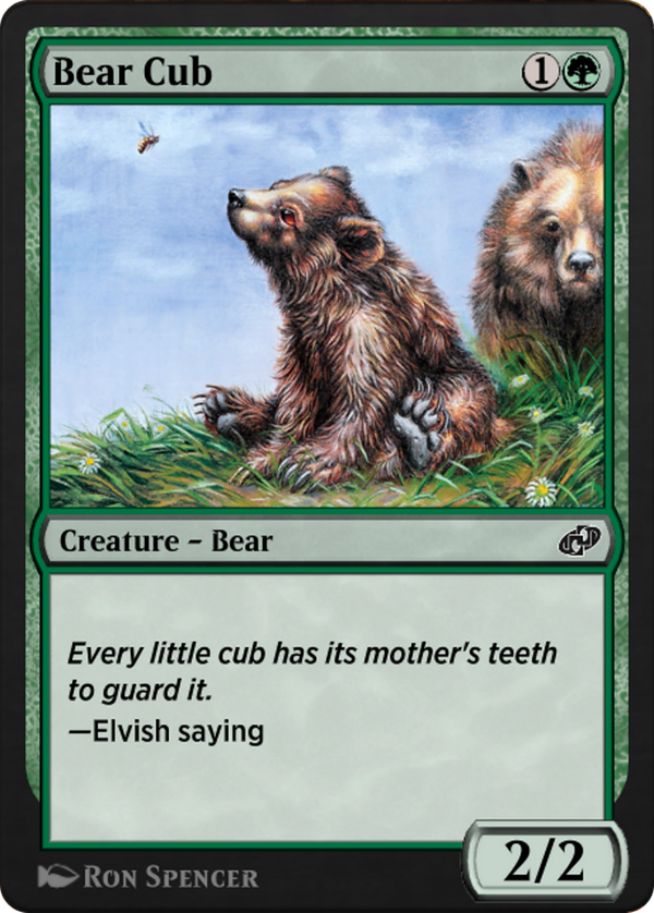Bear Cub (j21)
