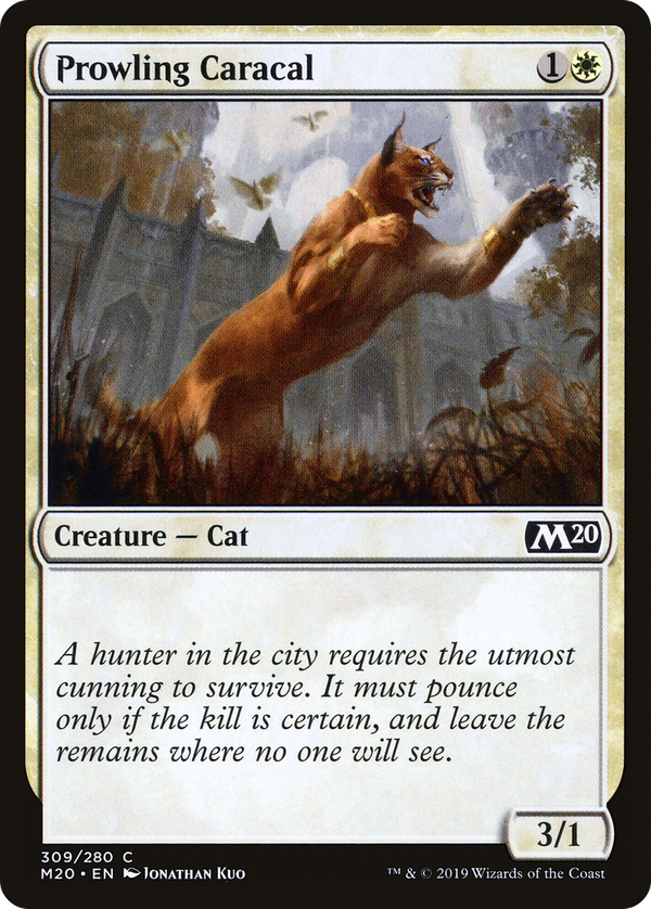 Prowling Caracal (m20)