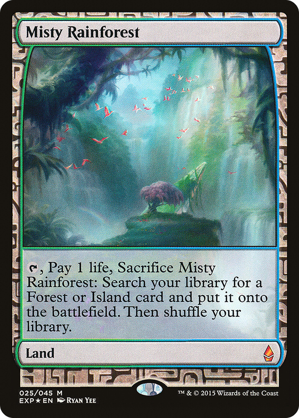Misty Rainforest (exp)