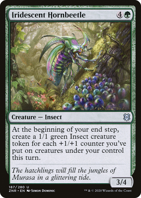 Iridescent Hornbeetle (znr)