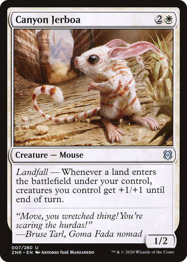 Canyon Jerboa (znr)