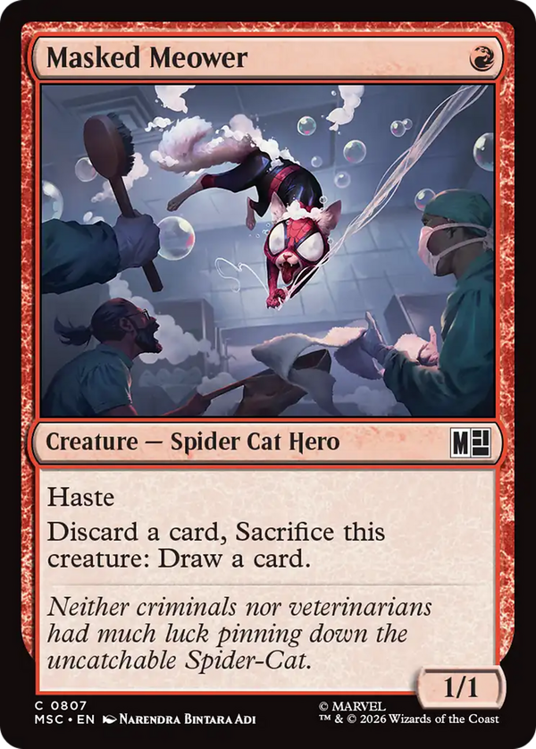 Masked Meower (msc)