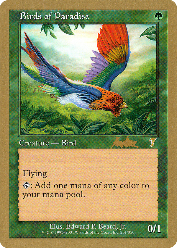 Birds of Paradise (wc02)