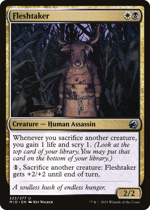 Fleshtaker (mid)