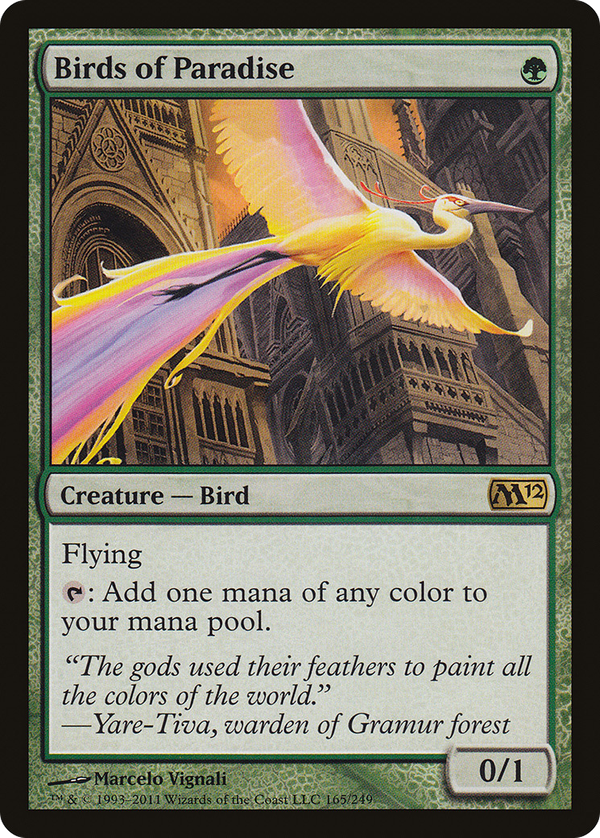 Birds of Paradise (m12)