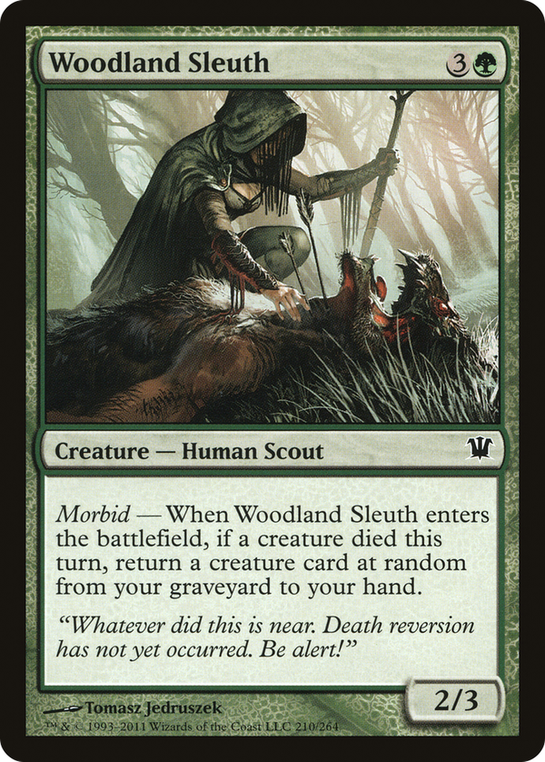 Woodland Sleuth (isd)