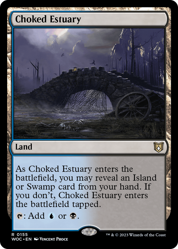 Choked Estuary (woc)