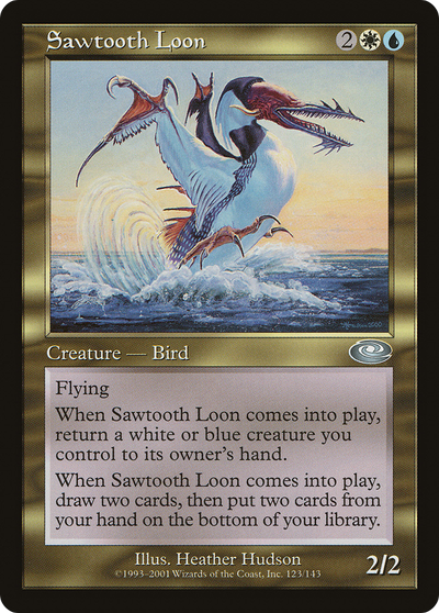 Sawtooth Loon
