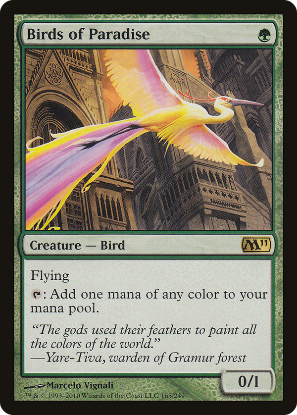 Birds of Paradise (m11)