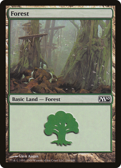 Forest