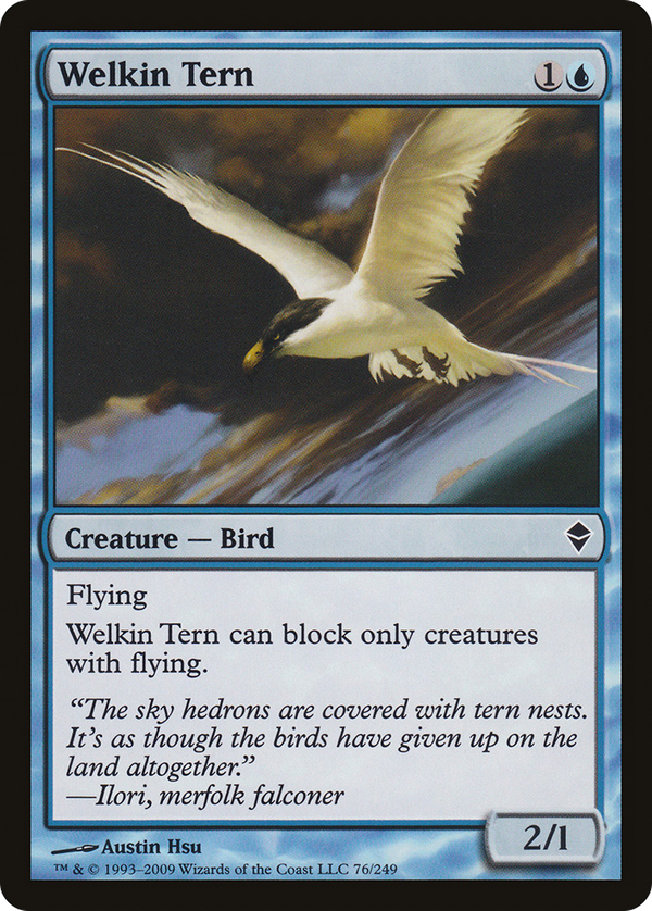 Welkin Tern (zen)