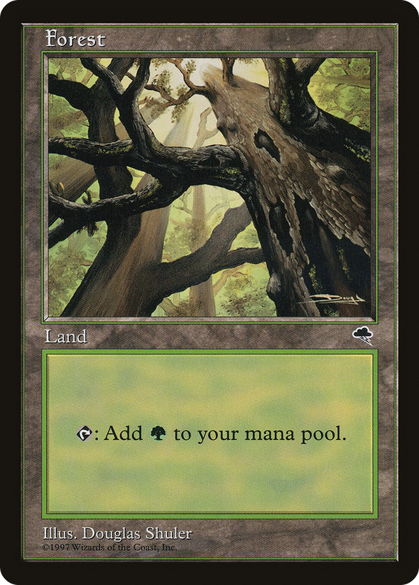 Forest (tmp)