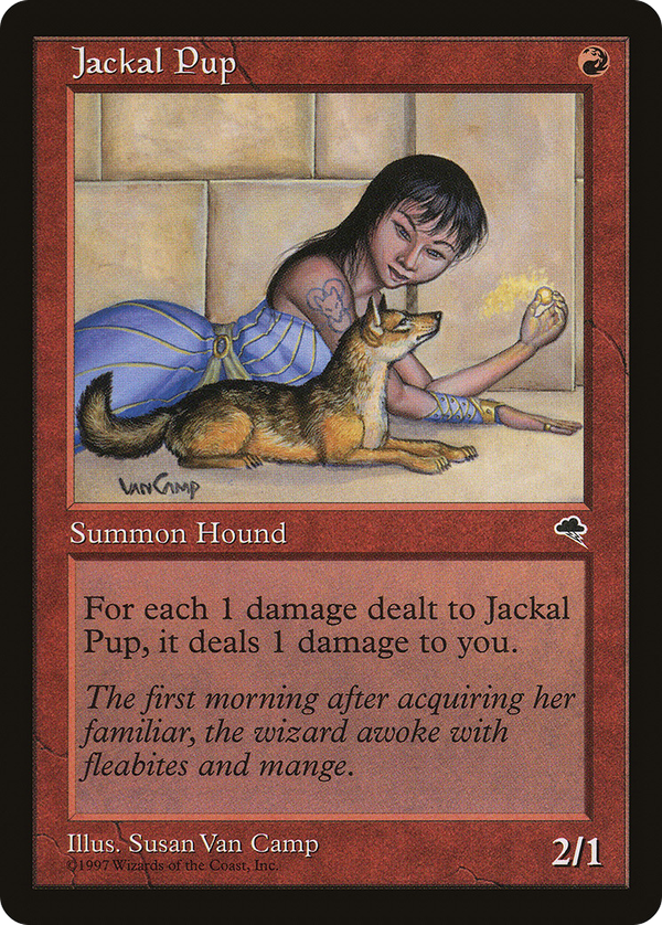 Jackal Pup (tmp)