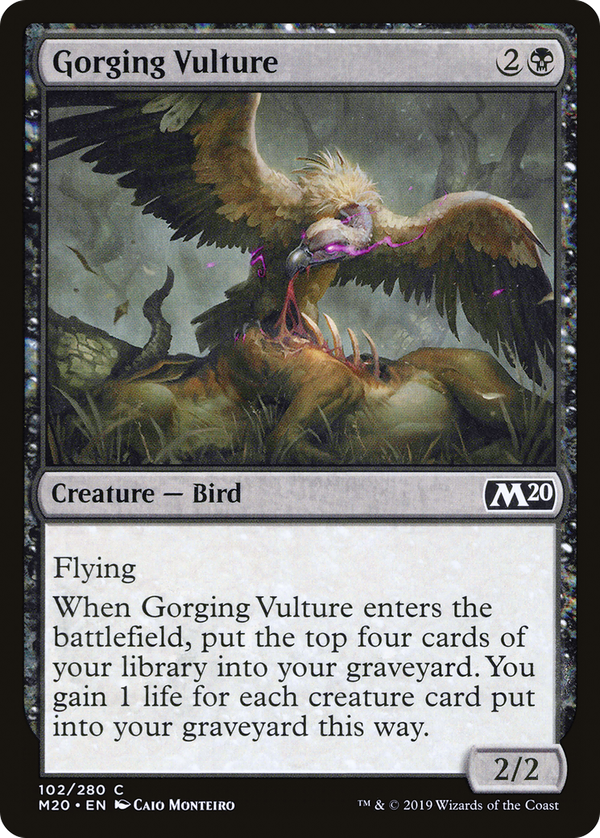 Gorging Vulture (m20)