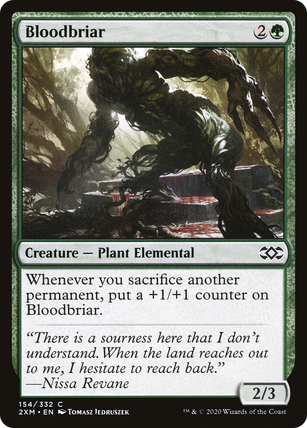 Bloodbriar (2xm)