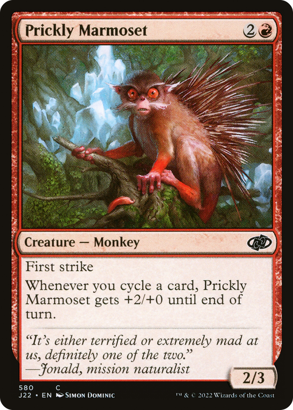 Prickly Marmoset (j22)