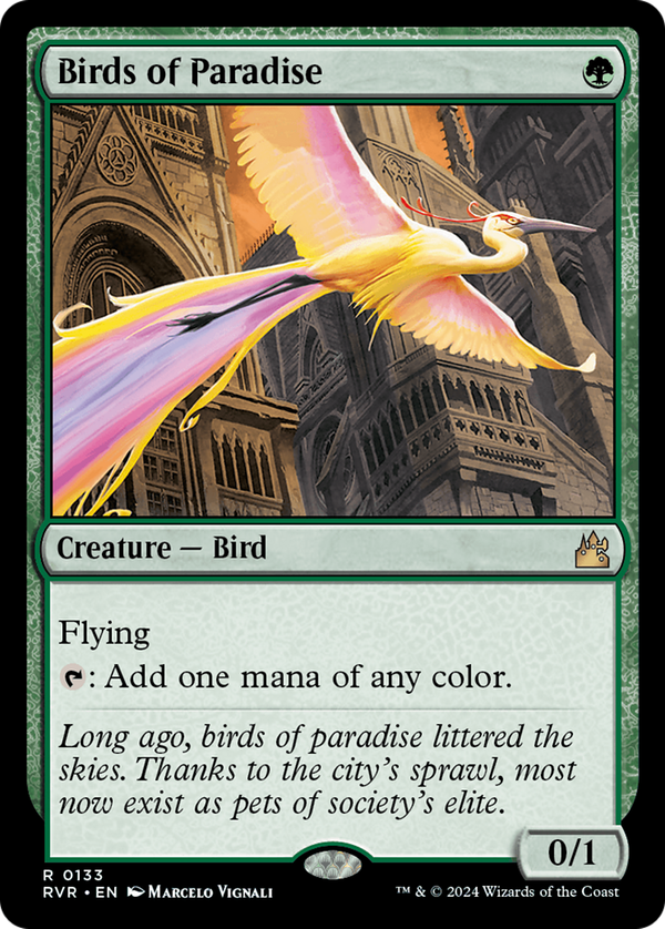 Birds of Paradise (rvr)