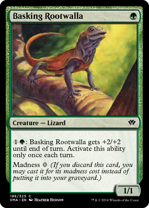 Basking Rootwalla (vma)