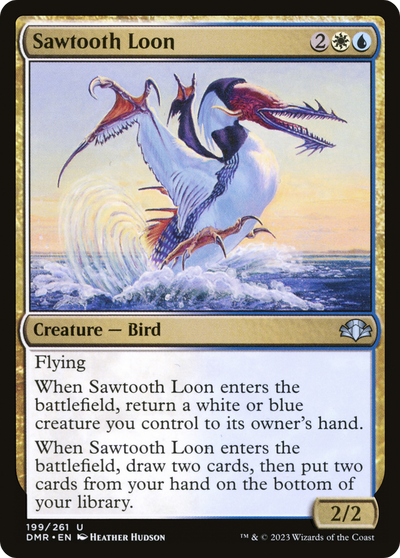Sawtooth Loon