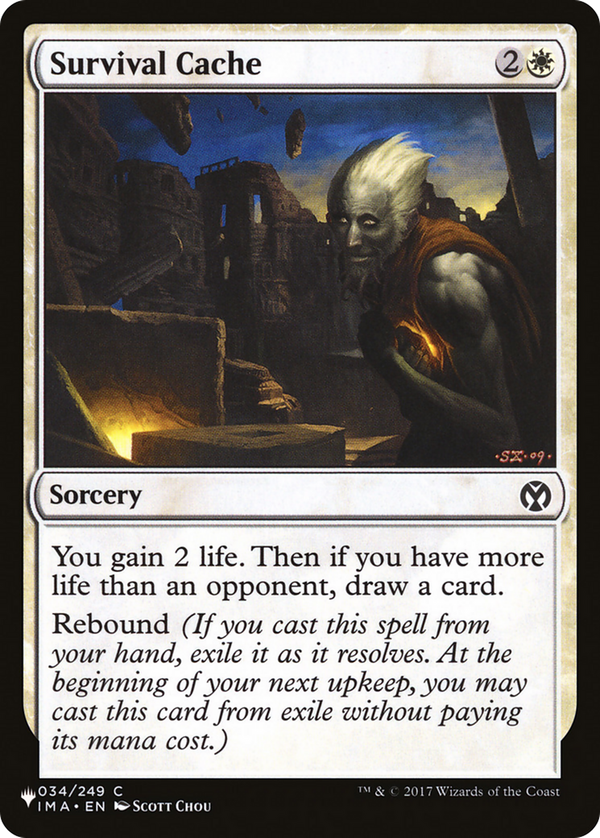 Survival Cache (plst)