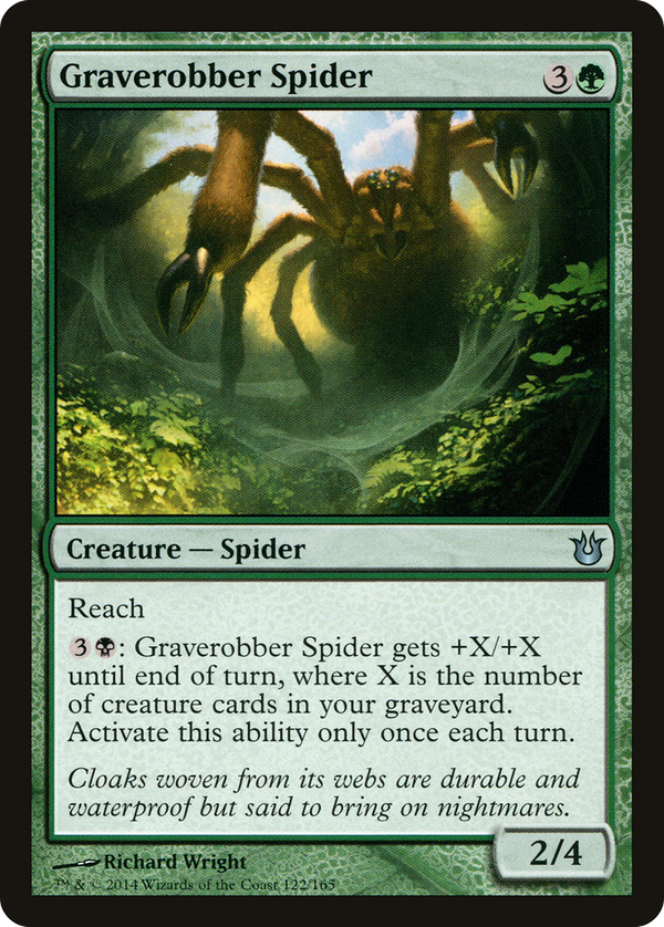 Graverobber Spider (bng)
