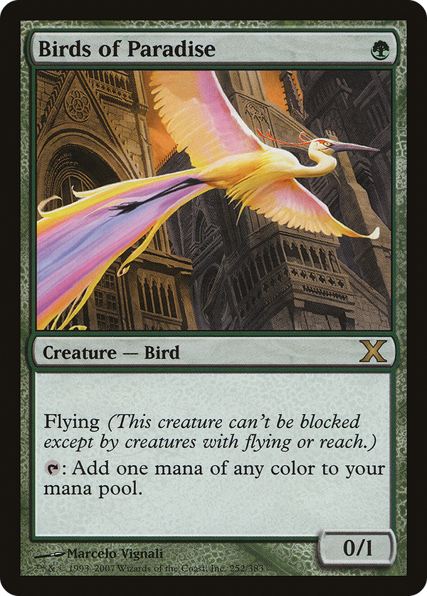Birds of Paradise (10e)