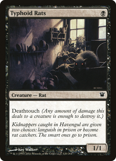 Typhoid Rats