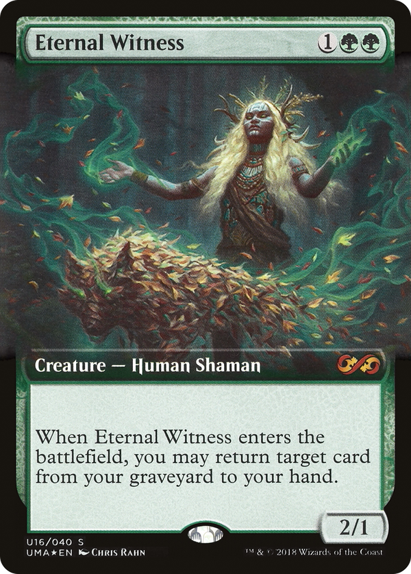 Eternal Witness (puma)