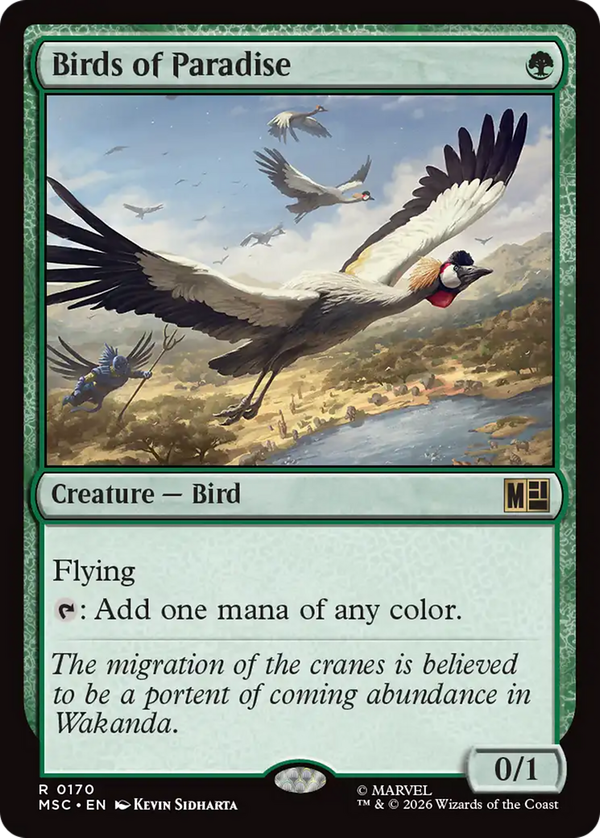 Birds of Paradise (msc)