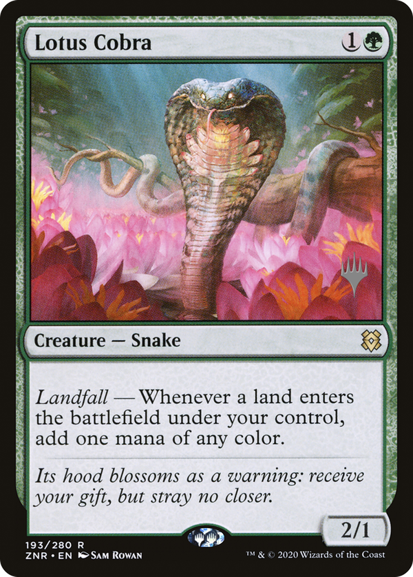 Lotus Cobra (pznr)