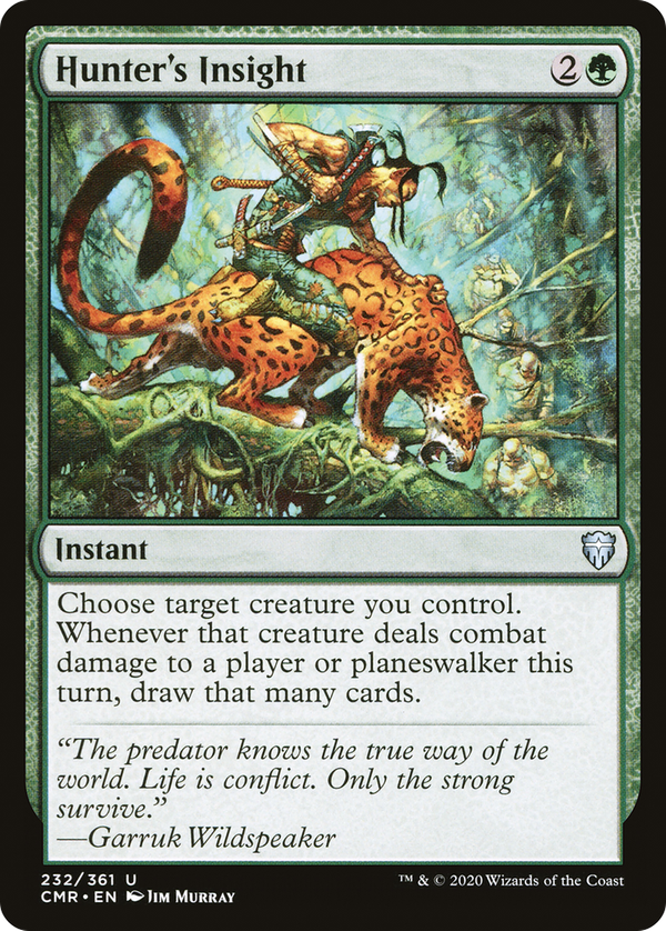 Hunter's Insight (cmr)