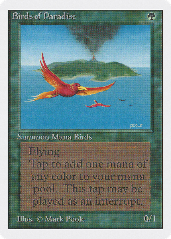 Birds of Paradise (2ed)